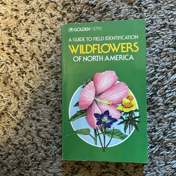 Golden | Other | A Guide To Field Identification Wildflowers Of North ...